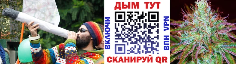 Канабис семена  Вольск 